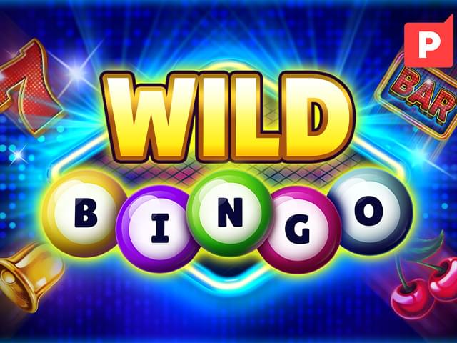 5956 bet Bingo Selvagem